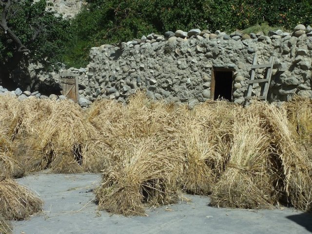 Hunza