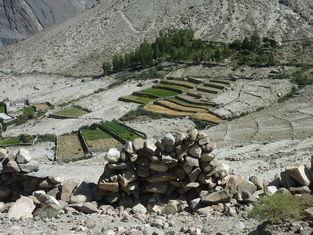 Hunza